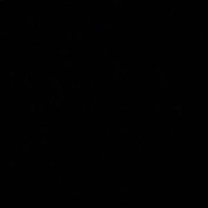 Meet your Posher, Timothy